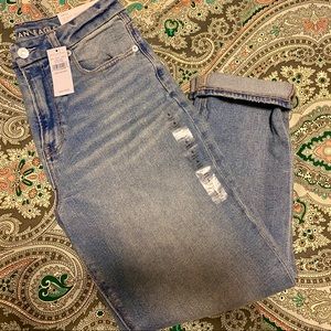 American Eagle Mom Jean Curvy, Size 6 Short. NWT